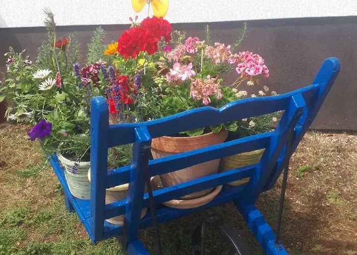 Apartment Gemuetliche Mit Toller Aussicht By Interhome Dobrec